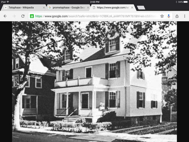 Brookline, Massachusetts-John is born