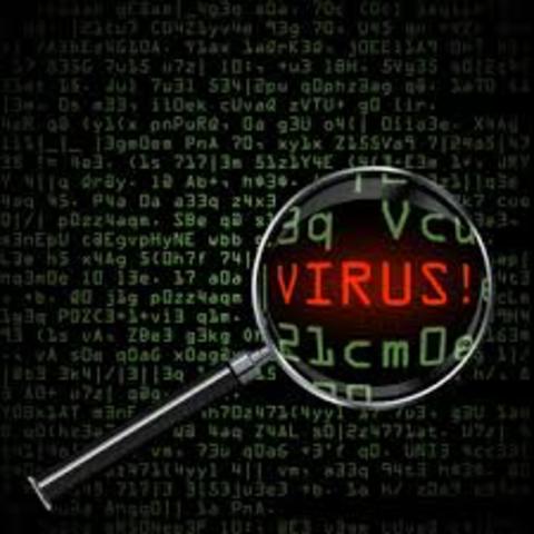Primer virus