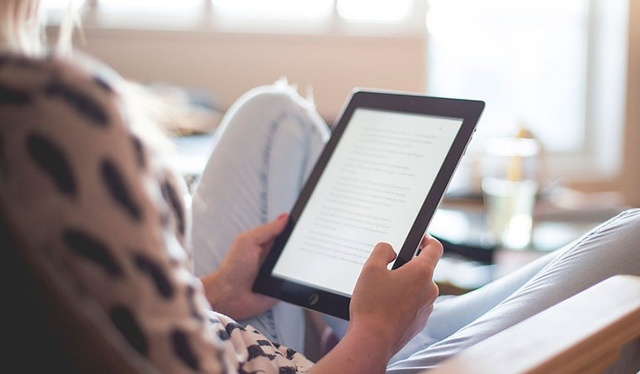 La normalización de internet