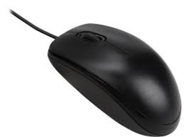 computer mouse