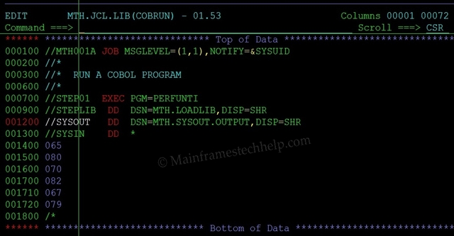 First Computer Language