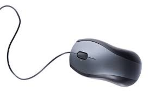 Computer Mouse