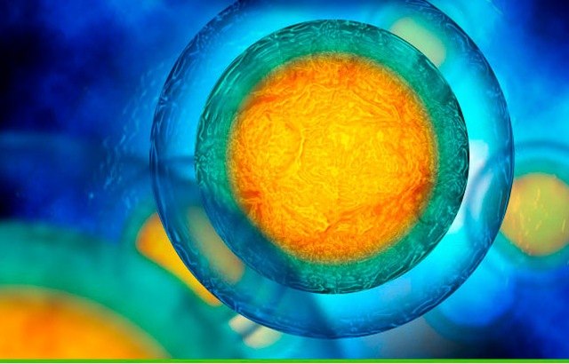 S. Yamanaka, J. Thomson