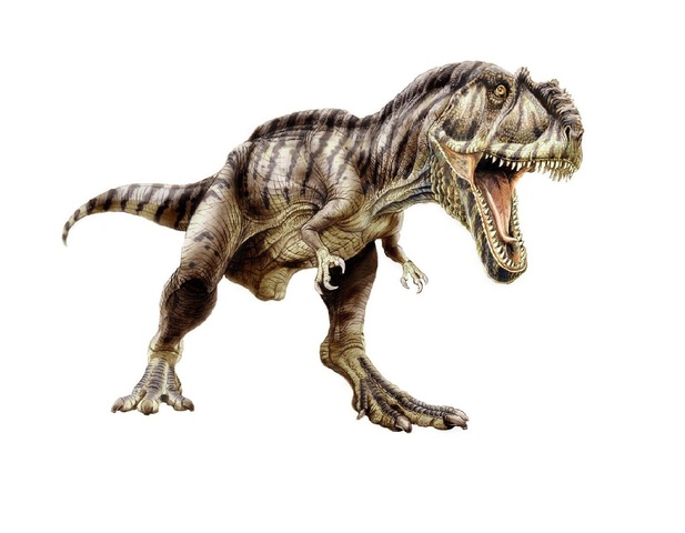 I dinosauri iniziano il loro percorso di esistenza