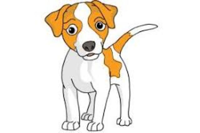 He had his first pet