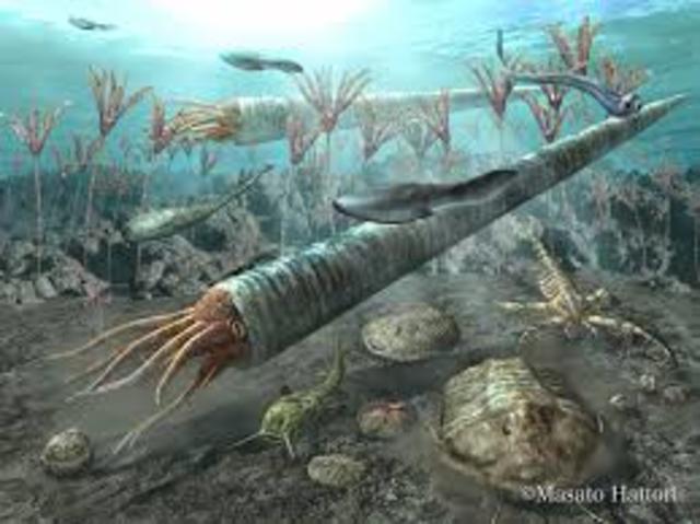 Ordovician period