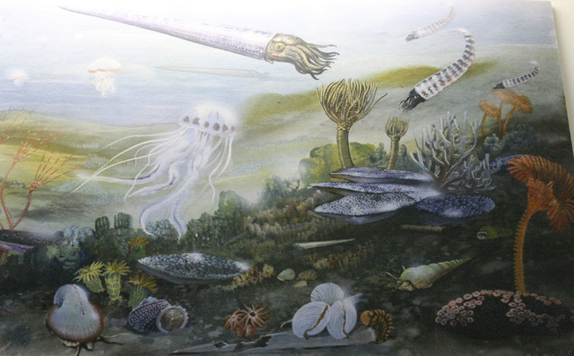 Ordovician Period - 488-443 MYA