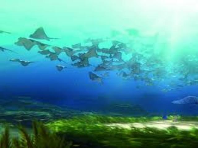 Dory Remembers Something About Her Parents