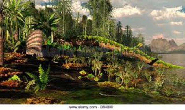 Permian Period 299 - 251 MYA