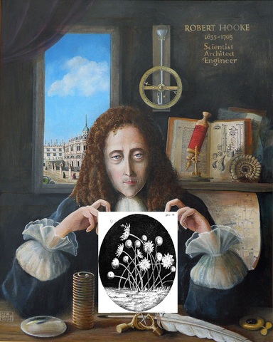 ROBERT HOOKE