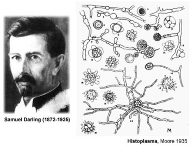 SAMUEL TAYLOR DARLING