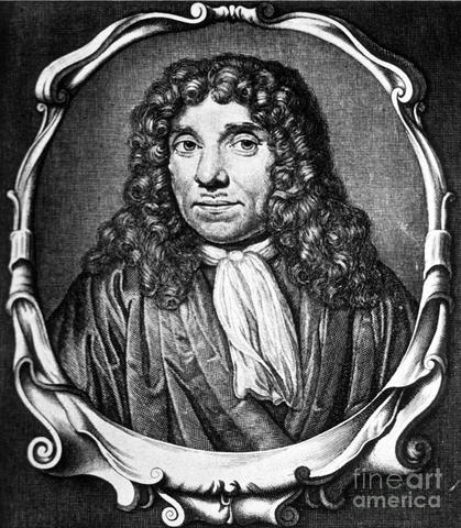 Arto Van Leeuwenhoek