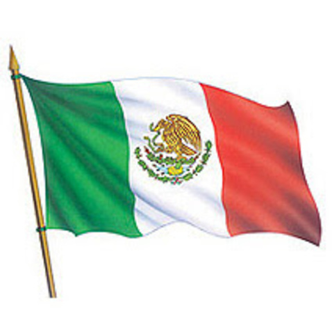 Estuve en la escolta oficial de la primaria