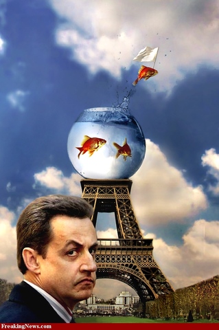 France Surrender To Germany