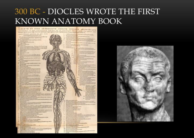 The First Anatomy Book