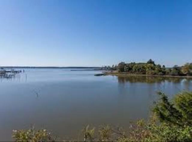 Birth of Pocahontas.