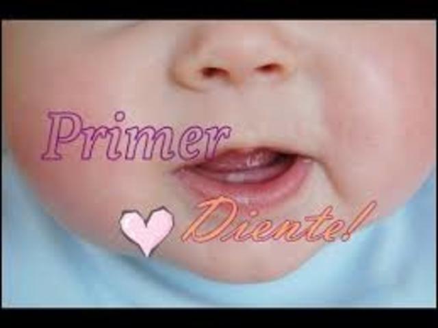 Mis primeros dientes