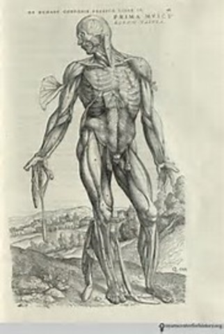 First Known Anatomy Book