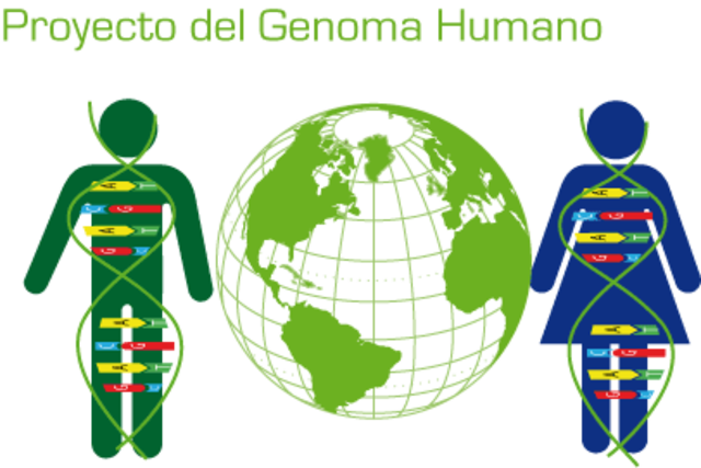 Genoma Humano