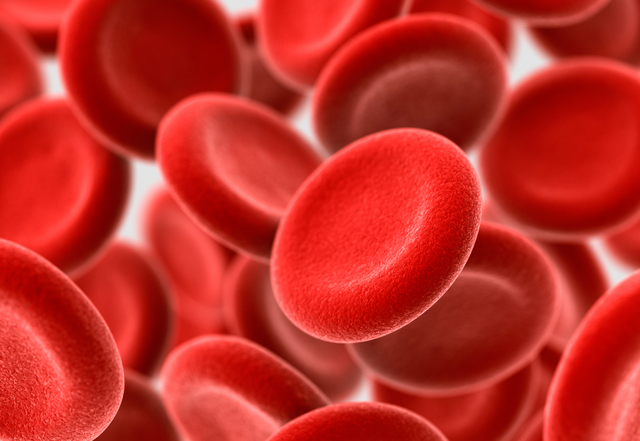 Blood Cells