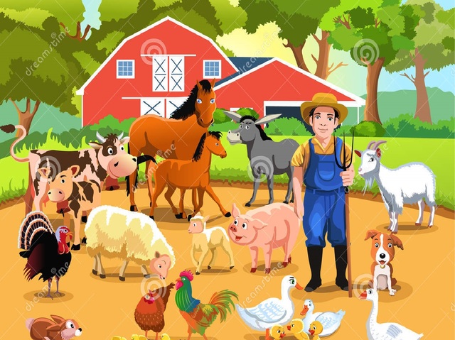 Elaboración y Exposición