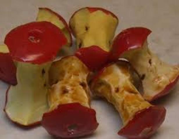 CE- Johnny gets an idea