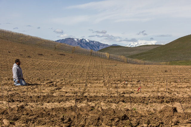 MD- now the people of America can enjoy more apples