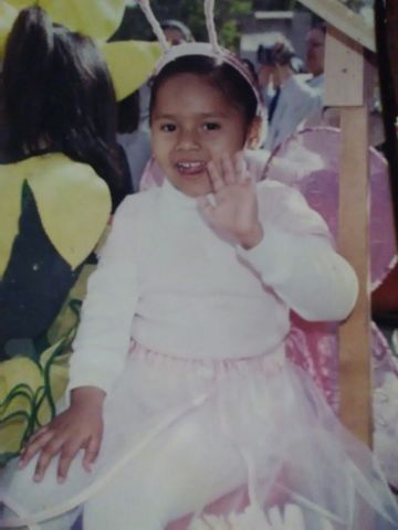 Mi festival de primavera