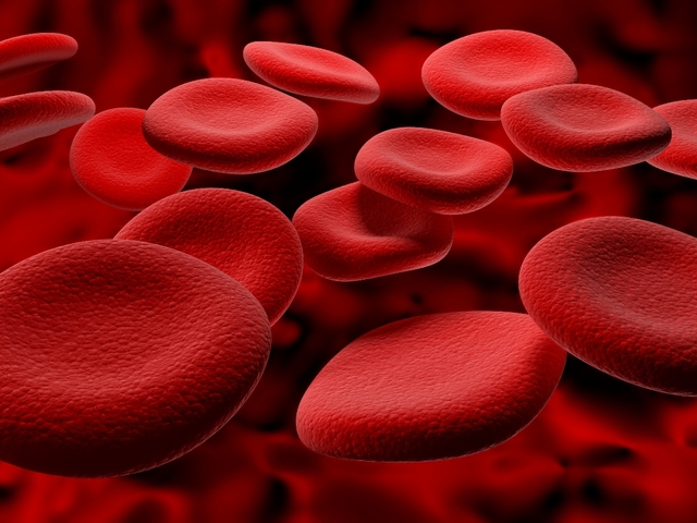 Blood Cells Are Discovered