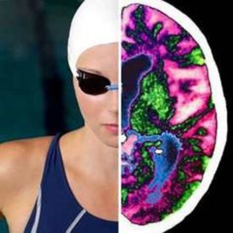 Nació la psicología del deporte como rama de la psicología.