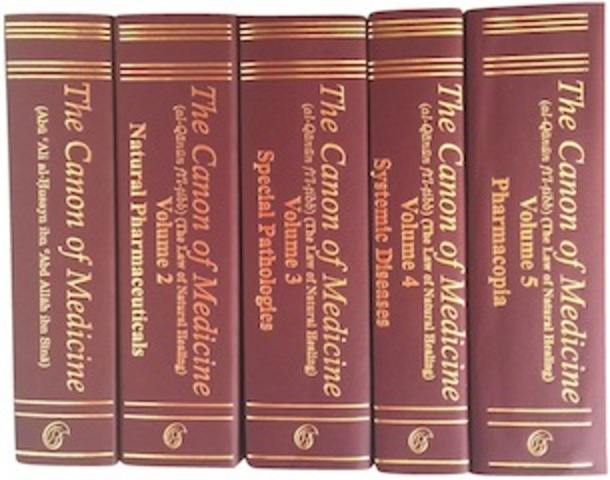 The Cannon of Medicine (Red)