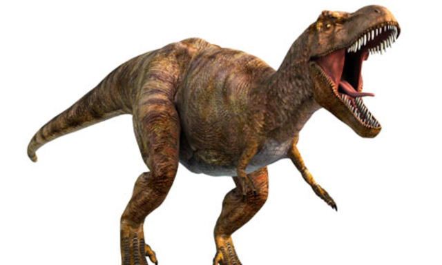 Gli anfibi si trasformono e danno origine ai rettili che si diffondono in tutto il pianeta. Inizia l'era dei dinosauri