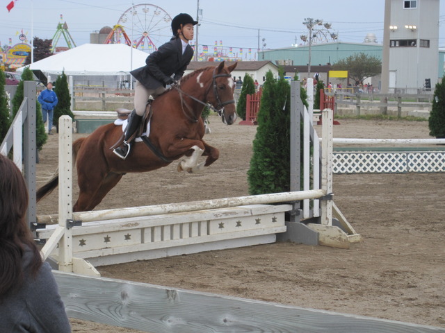 Started horseback riding