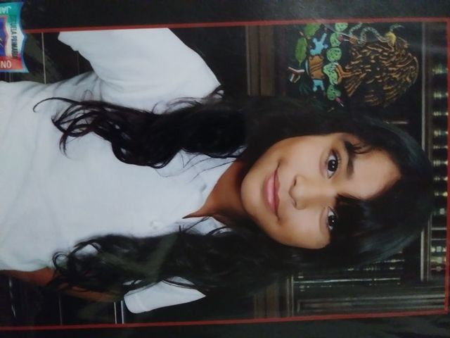 Quinto año de primaria