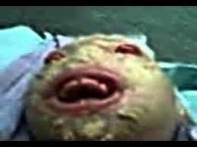 DONALD TRUMP WAS BORN