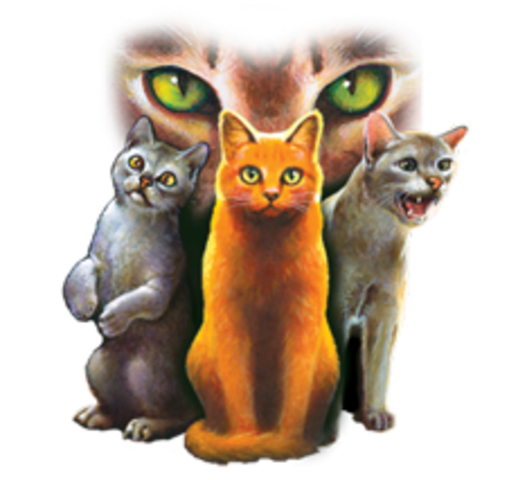 Found new books Warriors.