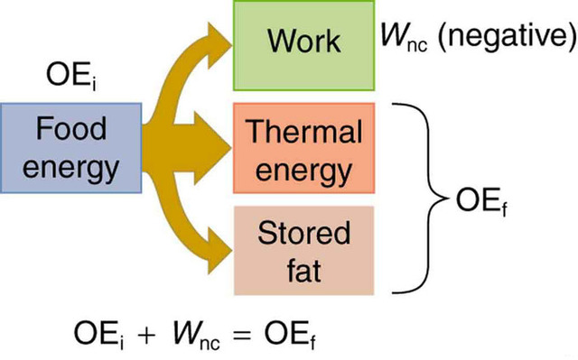 Law of thermodynamics