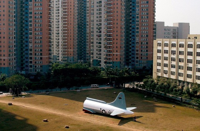 Bat Project I (Shenzhen) Huang Yong Ping