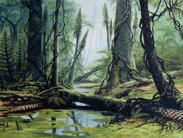 Carboniferous Period - 359-299 MYA