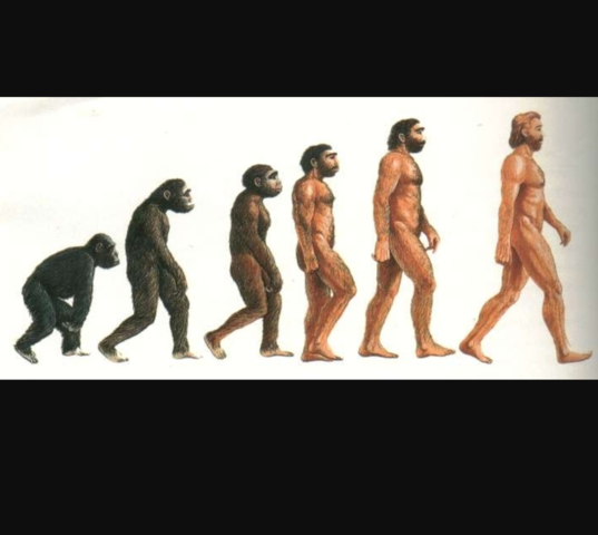 Nascita primi ominidi