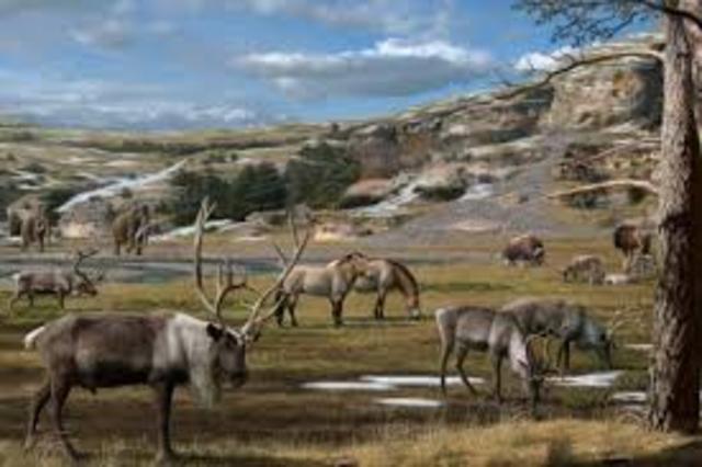 EXPANSIÓN DE LOS MAMÍFEROS POR LA TIERRA