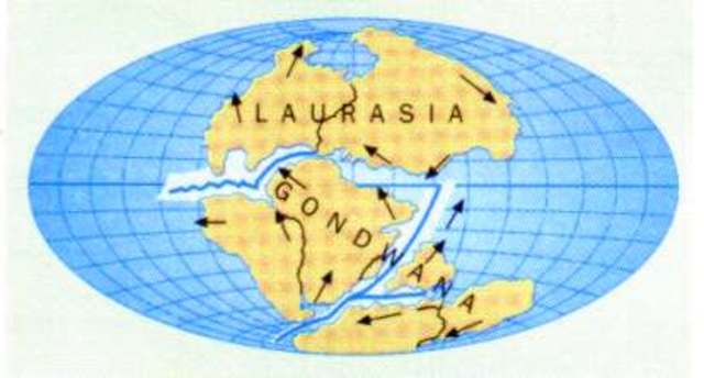 La deriva dei continenti