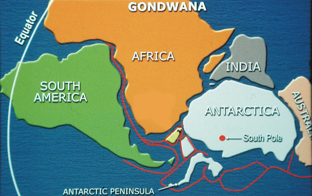 Gondwana. La prima terra emersa
