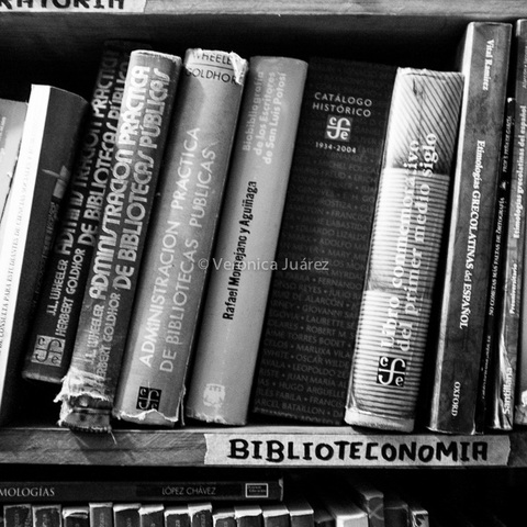 La bibliotecología como disciplina