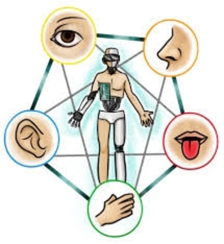Investigación de George W. Fitz