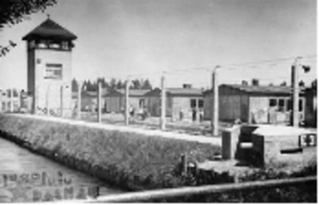 The 'Final Solution'