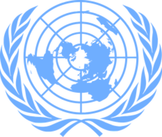 Adopción de la expresión “recursos educativos de libre acceso”