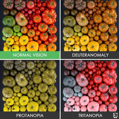 Color blind (Industrial Revolution )