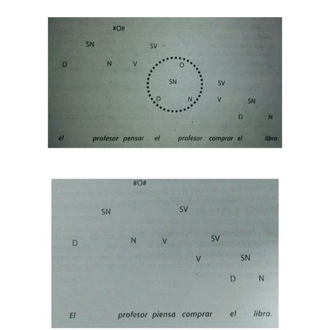 GRAMÁTICA GENERATIVA