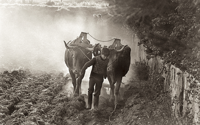 LOS NIÑOS SON YUGOS SIGLO  IV (301-400) D.C